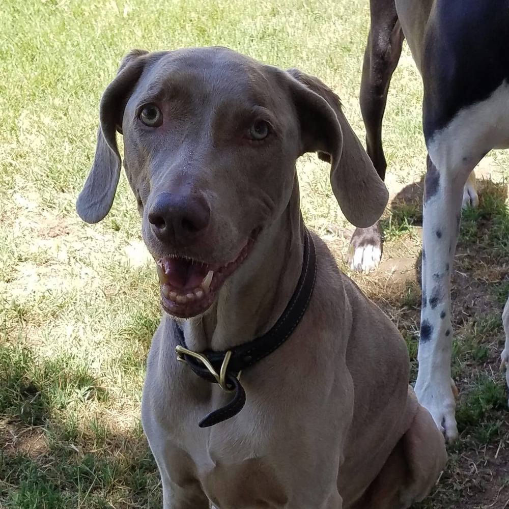 Meet your Posher, Rayanne